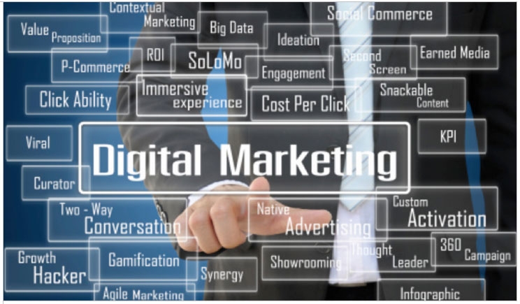 Why do you need professional SEO service?